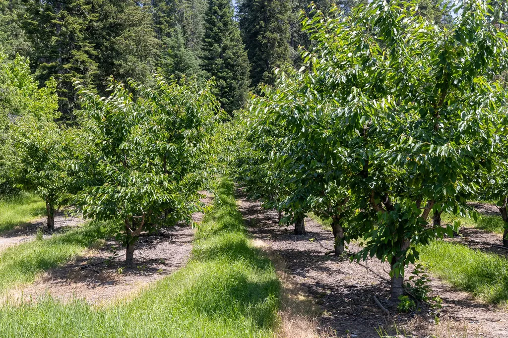 21770 Mt Highway 35 Bigfork MT 59911