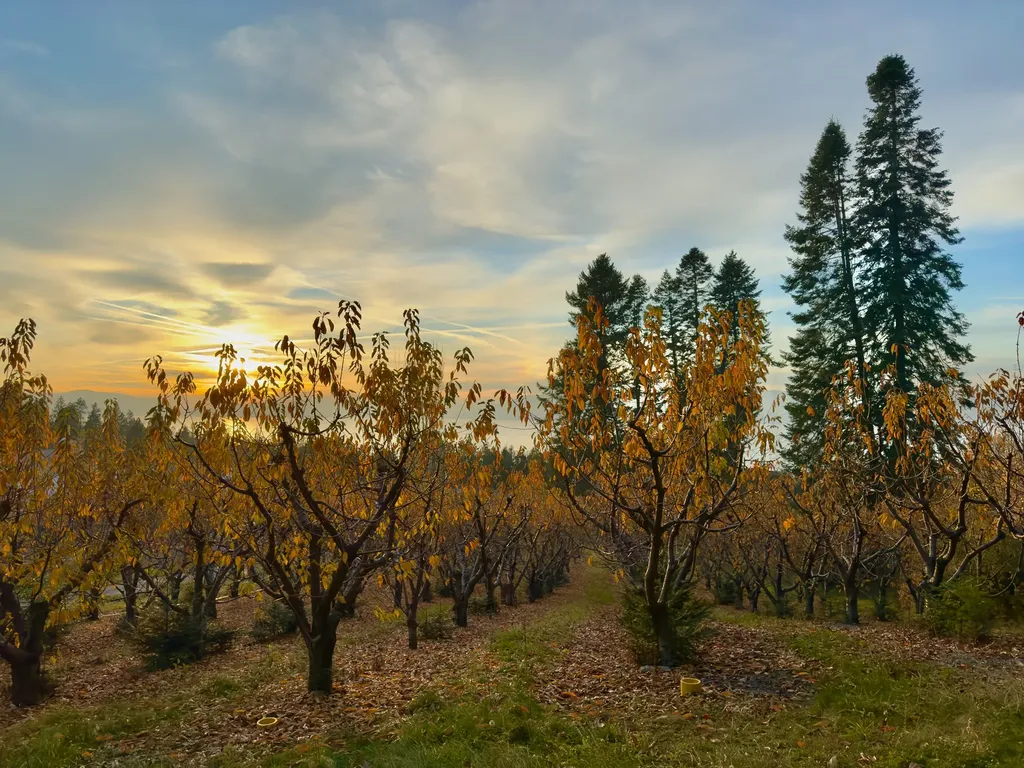 21770 Mt Highway 35 Bigfork MT 59911