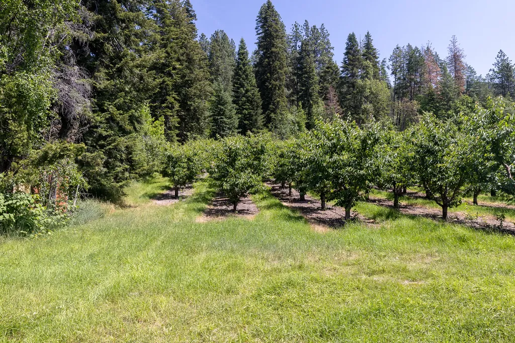 21770 Mt Highway 35 Bigfork MT 59911