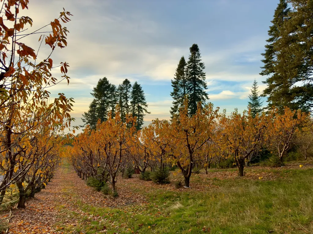 21770 Mt Highway 35 Bigfork MT 59911