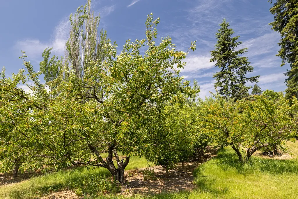 21770 Mt Highway 35 Bigfork MT 59911