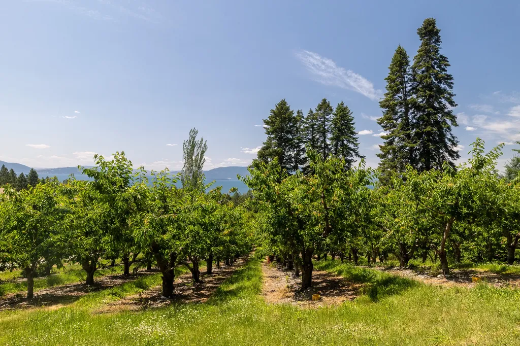 21770 Mt Highway 35 Bigfork MT 59911