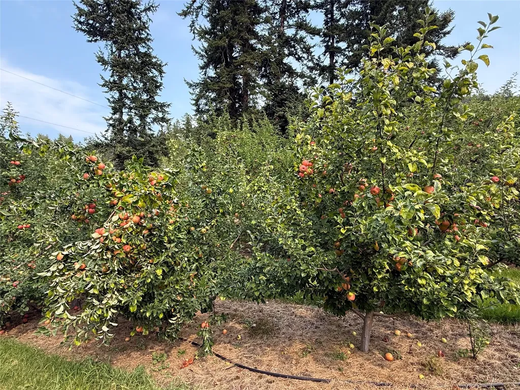21770 Mt Highway 35 Bigfork MT 59911