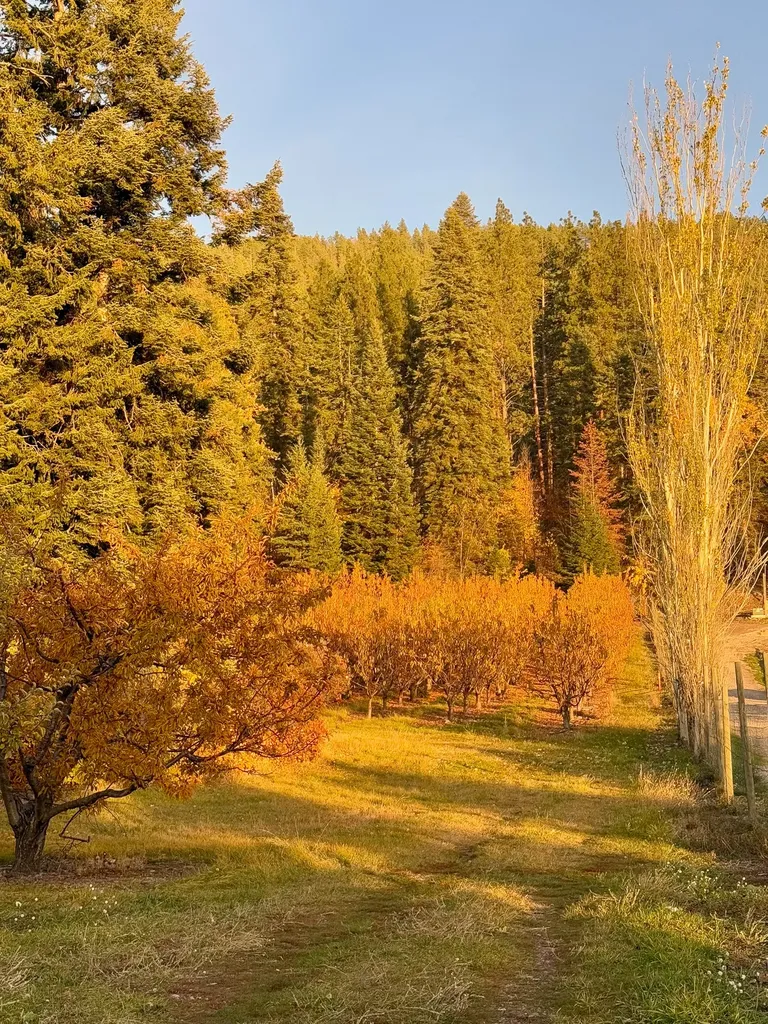 21770 Mt Highway 35 Bigfork MT 59911