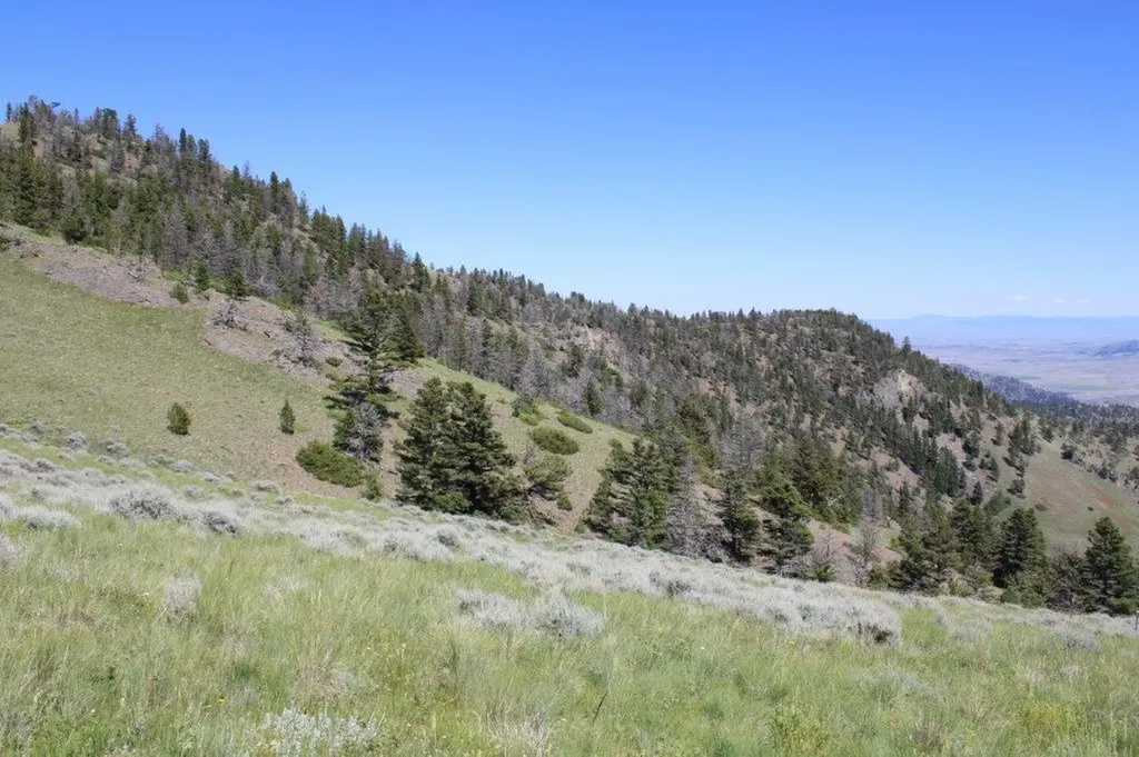 Tbd Black Canyon Lane Cascade MT 59421