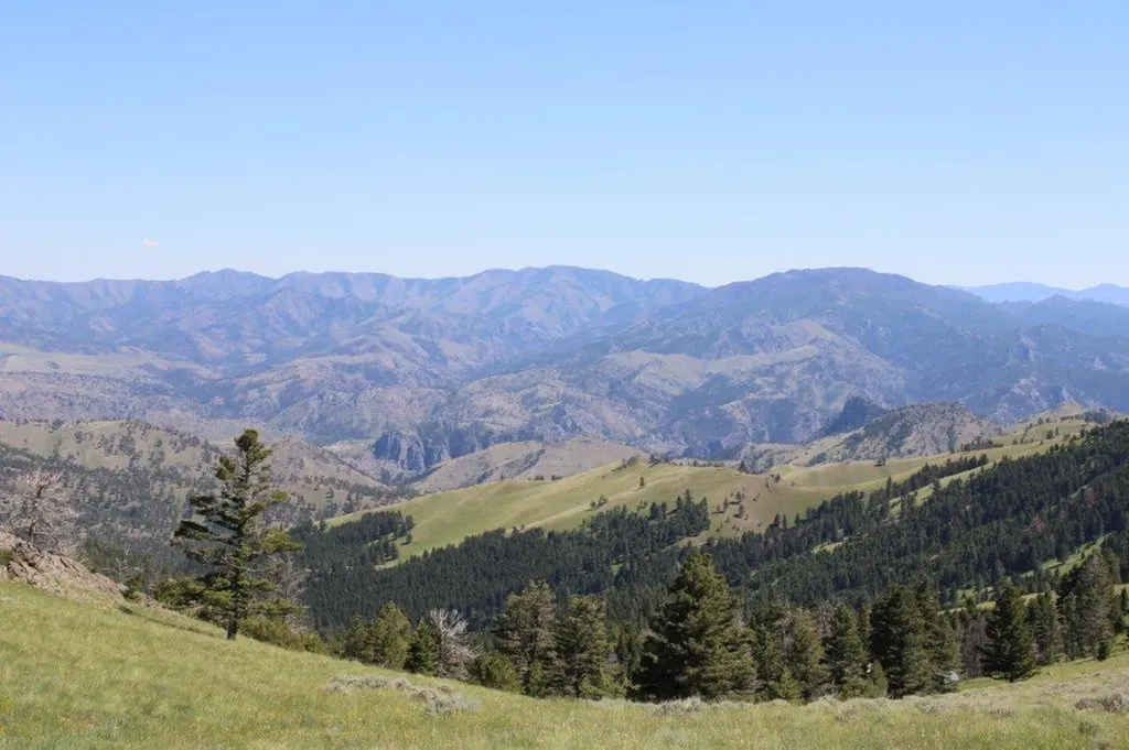 Tbd Black Canyon Lane Cascade MT 59421