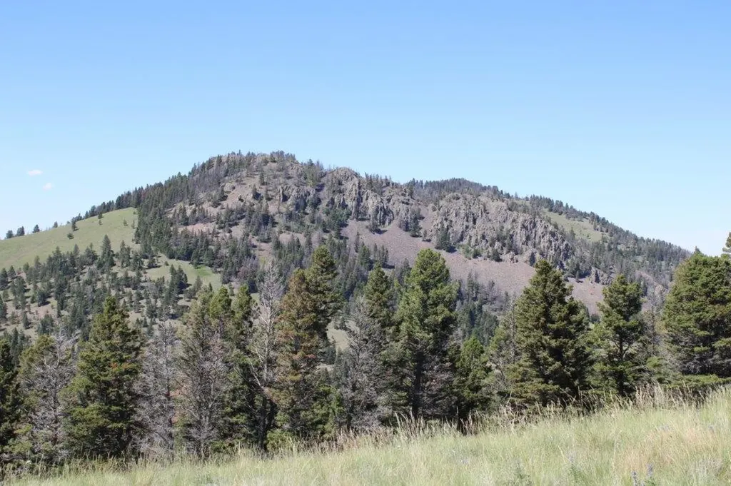 Tbd Black Canyon Lane Cascade MT 59421