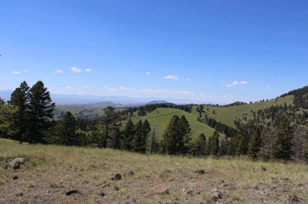 Tbd Black Canyon Lane Cascade MT 59421