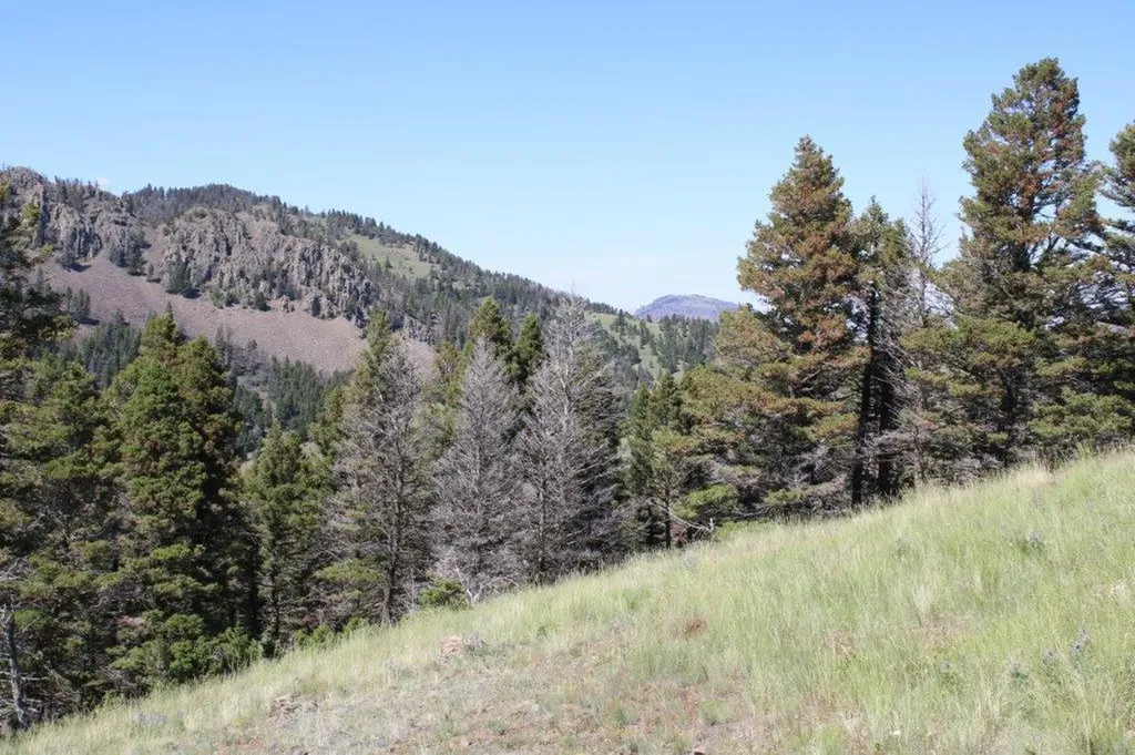 Tbd Black Canyon Lane Cascade MT 59421