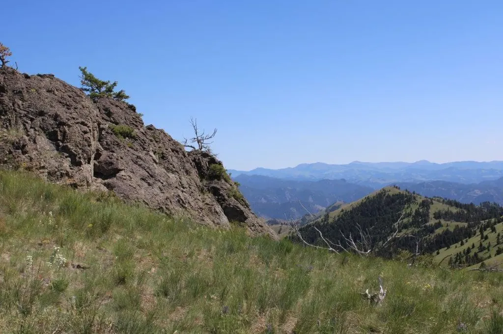 Tbd Black Canyon Lane Cascade MT 59421