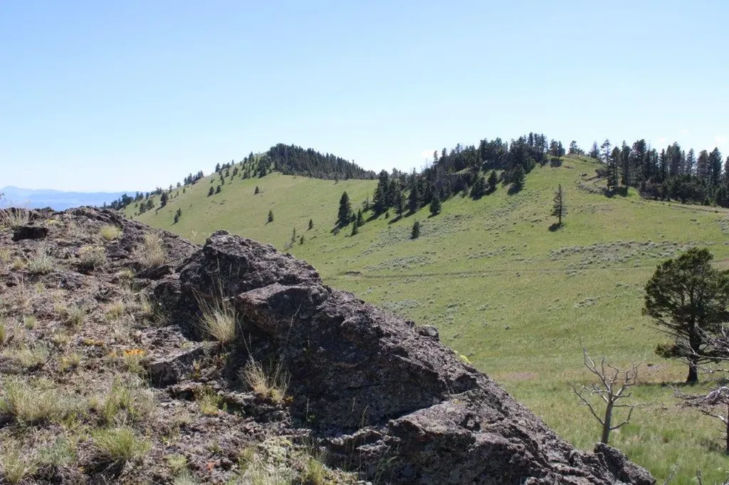 Tbd Black Canyon Lane Cascade MT 59421