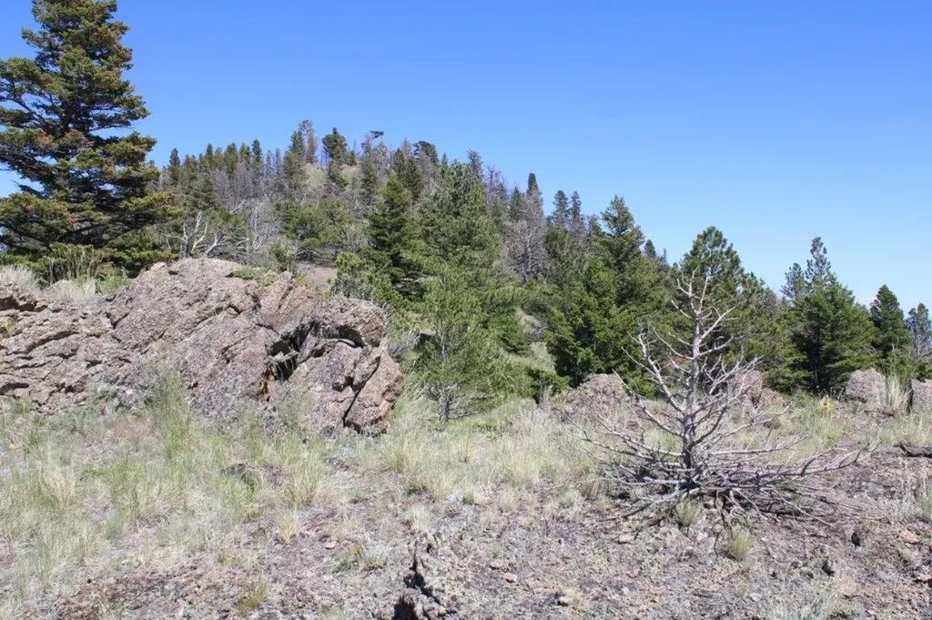 Tbd Black Canyon Lane Cascade MT 59421