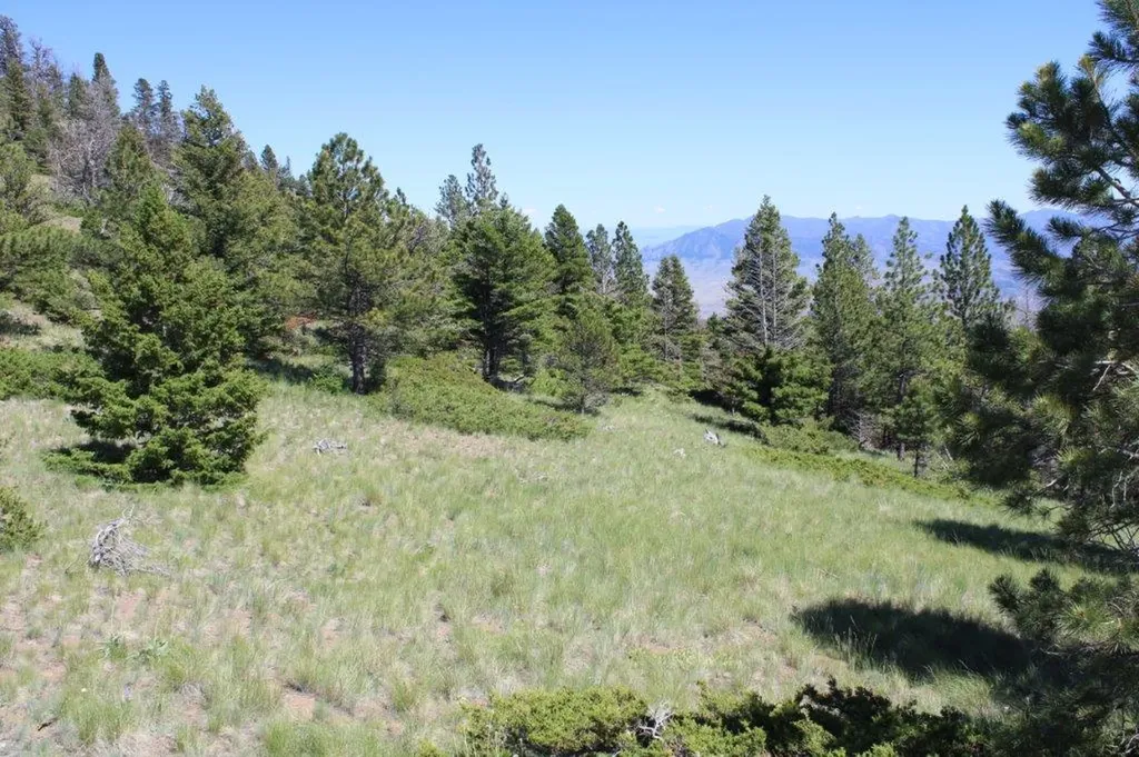 Tbd Black Canyon Lane Cascade MT 59421