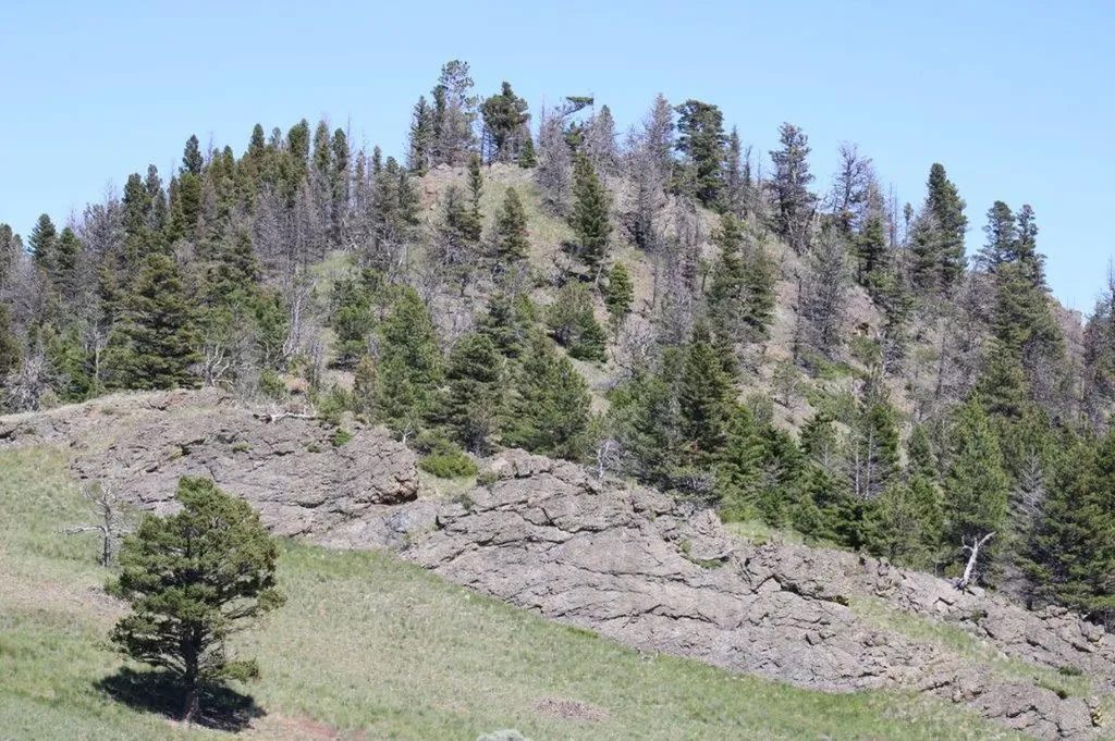 Tbd Black Canyon Lane Cascade MT 59421