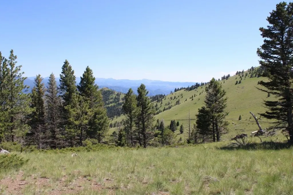 Tbd Black Canyon Lane Cascade MT 59421