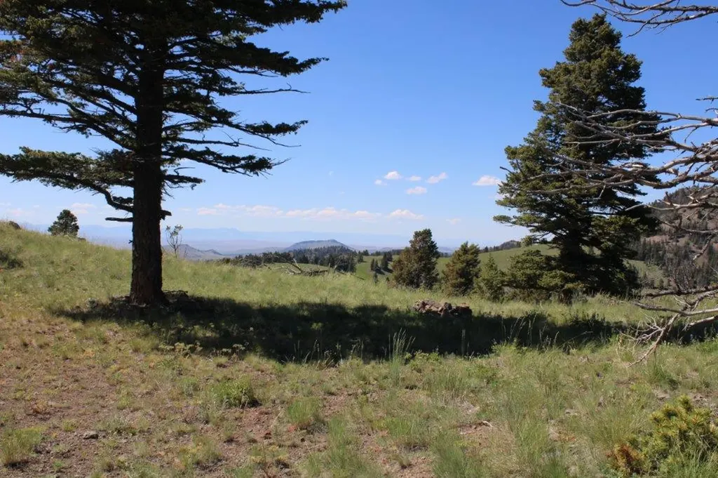 Tbd Black Canyon Lane Cascade MT 59421