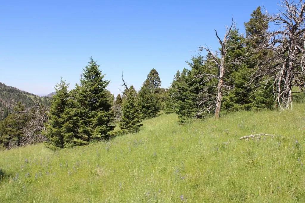 Tbd Black Canyon Lane Cascade MT 59421