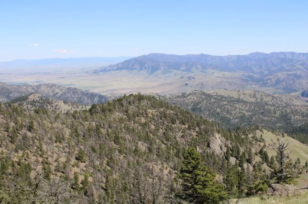 Tbd Black Canyon Lane Cascade MT 59421