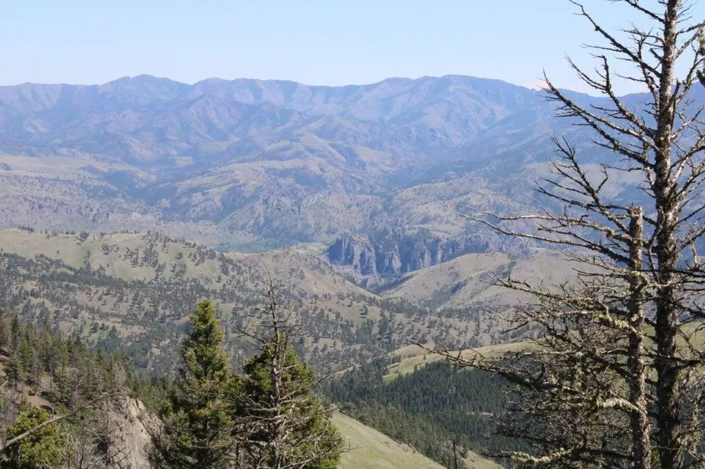 Tbd Black Canyon Lane Cascade MT 59421