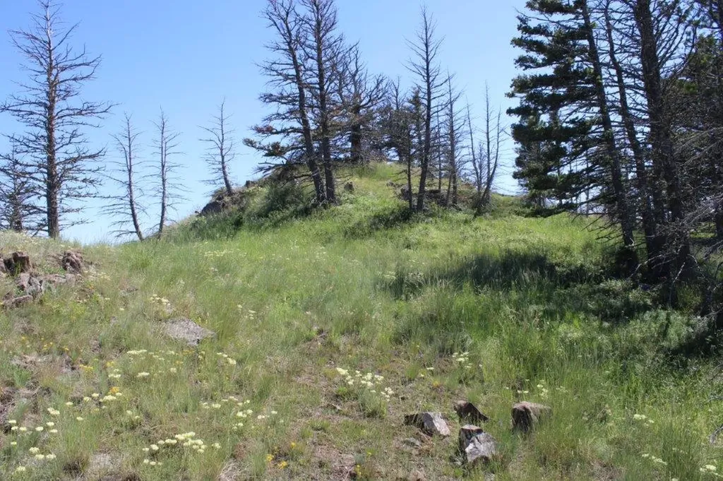 Tbd Black Canyon Lane Cascade MT 59421