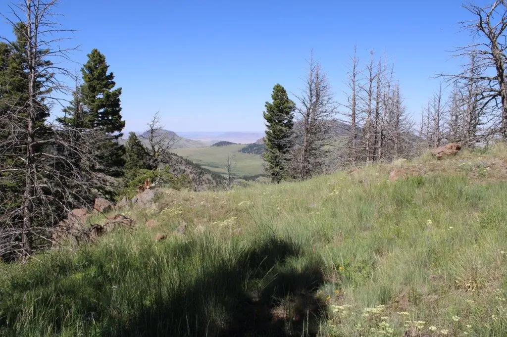 Tbd Black Canyon Lane Cascade MT 59421