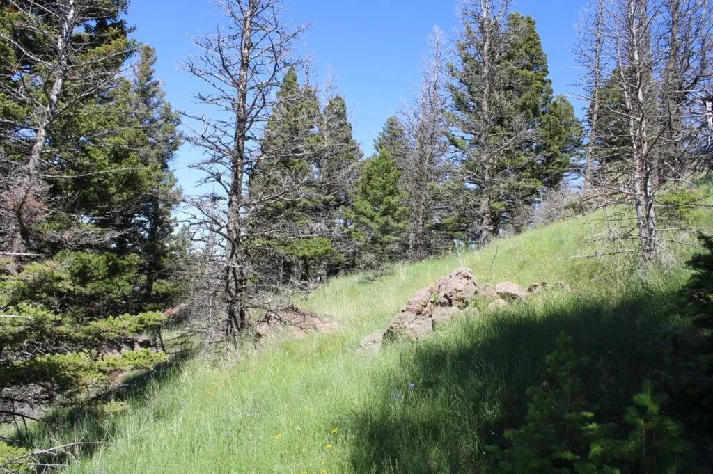 Tbd Black Canyon Lane Cascade MT 59421