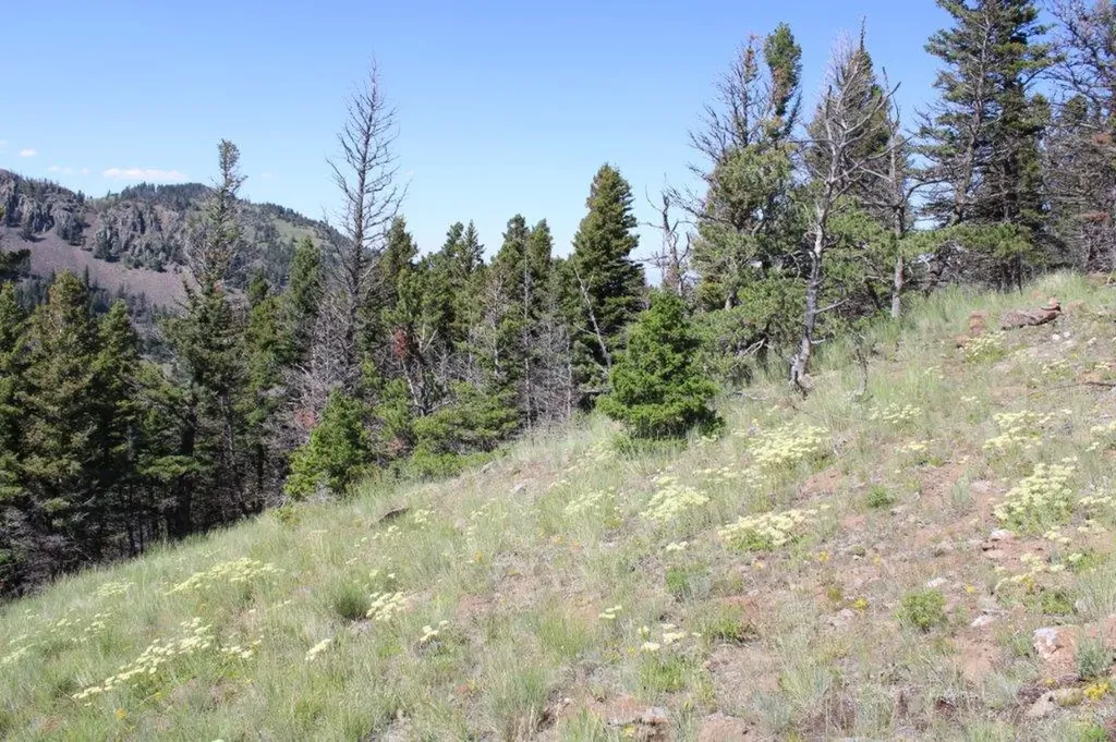 Tbd Black Canyon Lane Cascade MT 59421