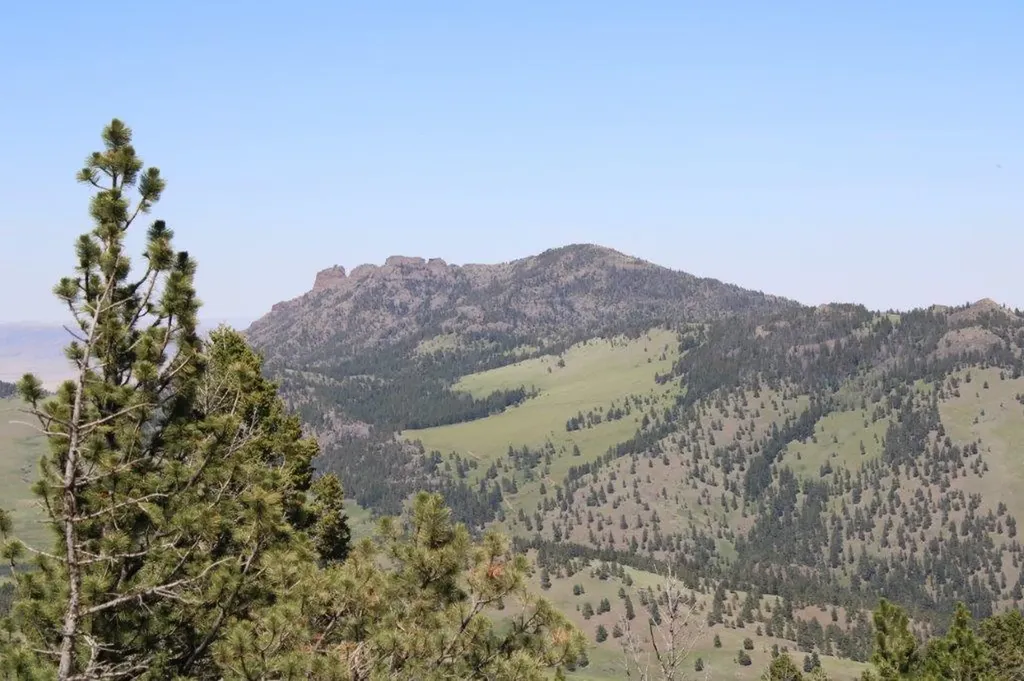 Tbd Black Canyon Lane Cascade MT 59421