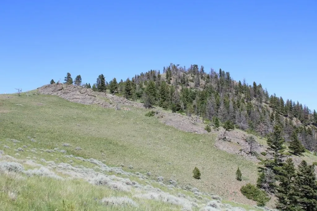 Tbd Black Canyon Lane Cascade MT 59421