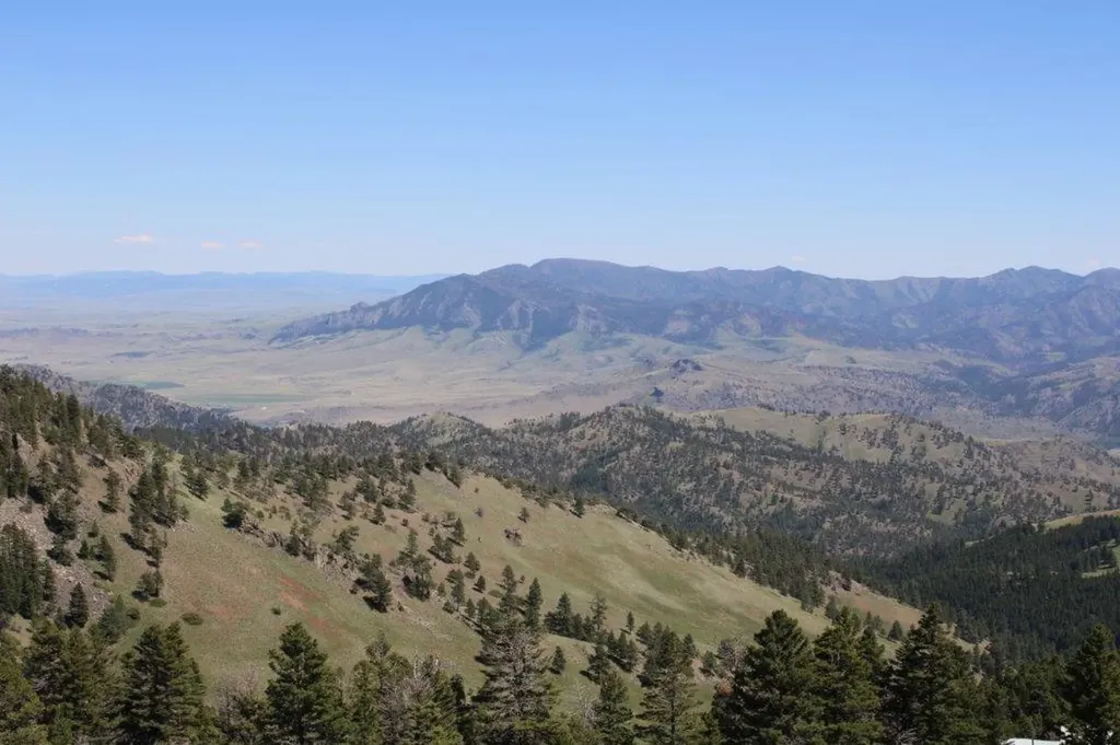 Tbd Black Canyon Lane Cascade MT 59421