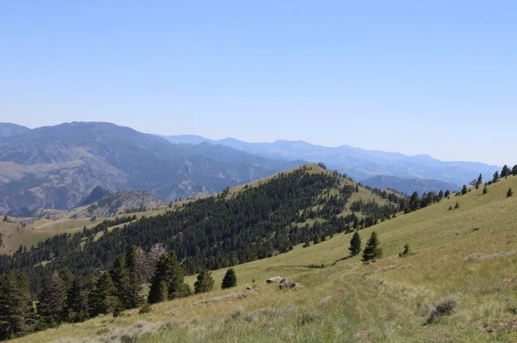 Tbd Black Canyon Lane Cascade MT 59421