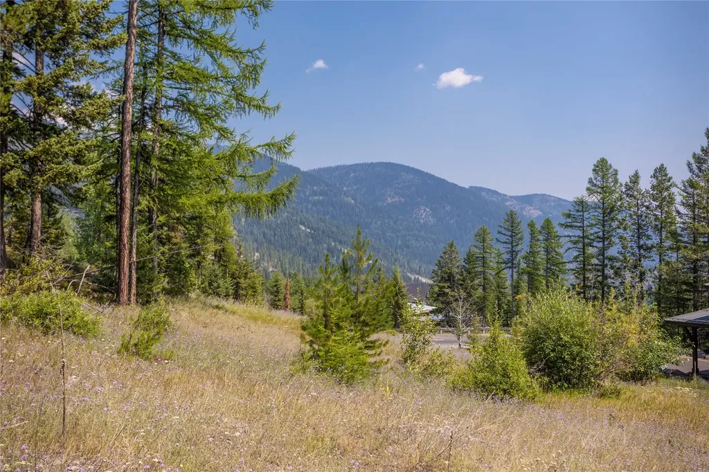 302 Northern Lights Drive Whitefish MT 59937