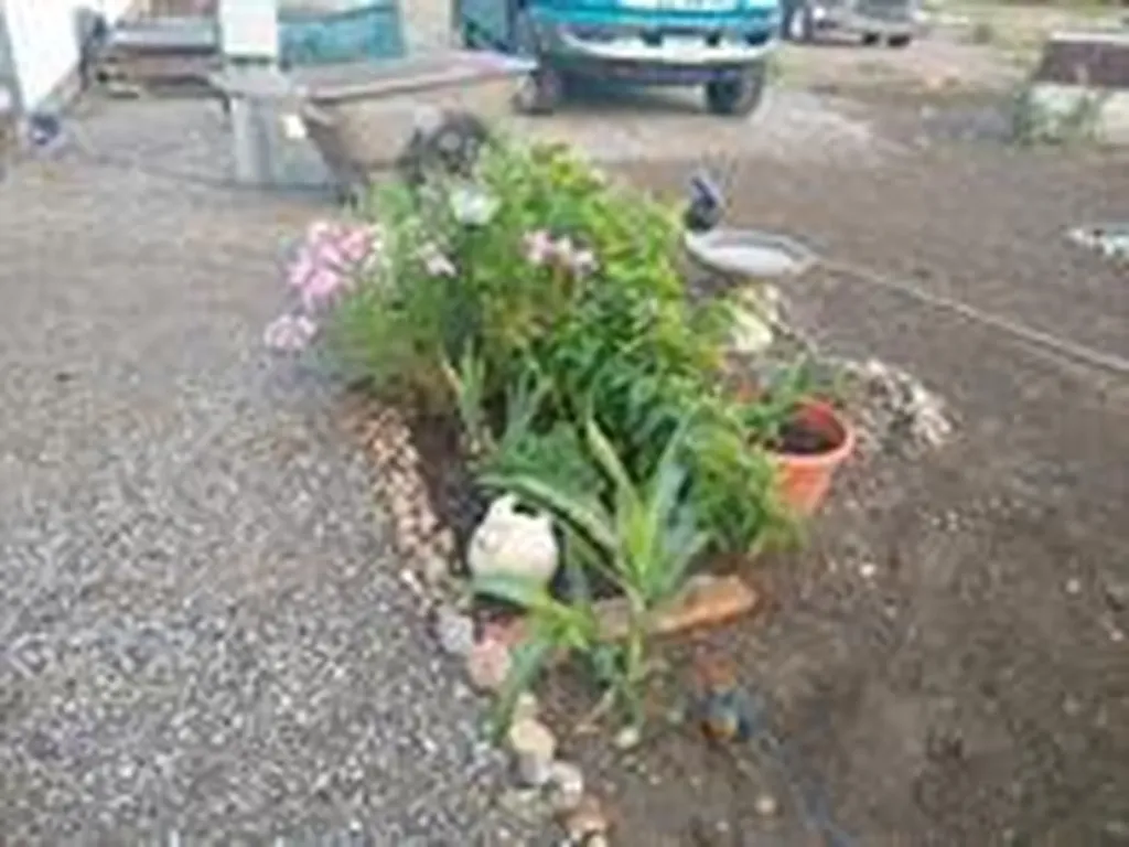 11 Central Avenue N Dutton MT 59433