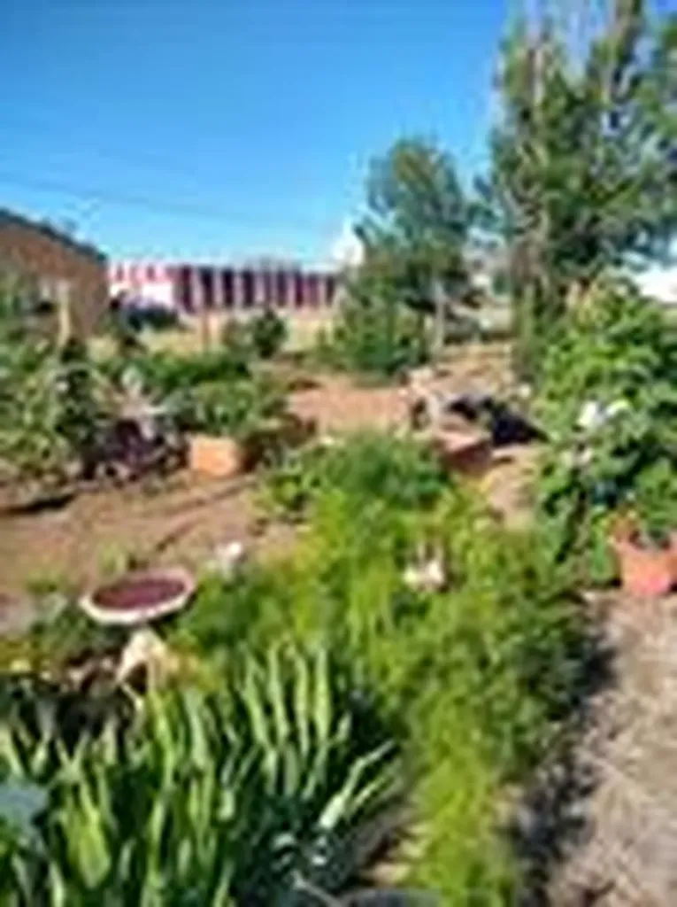 11 Central Avenue N Dutton MT 59433