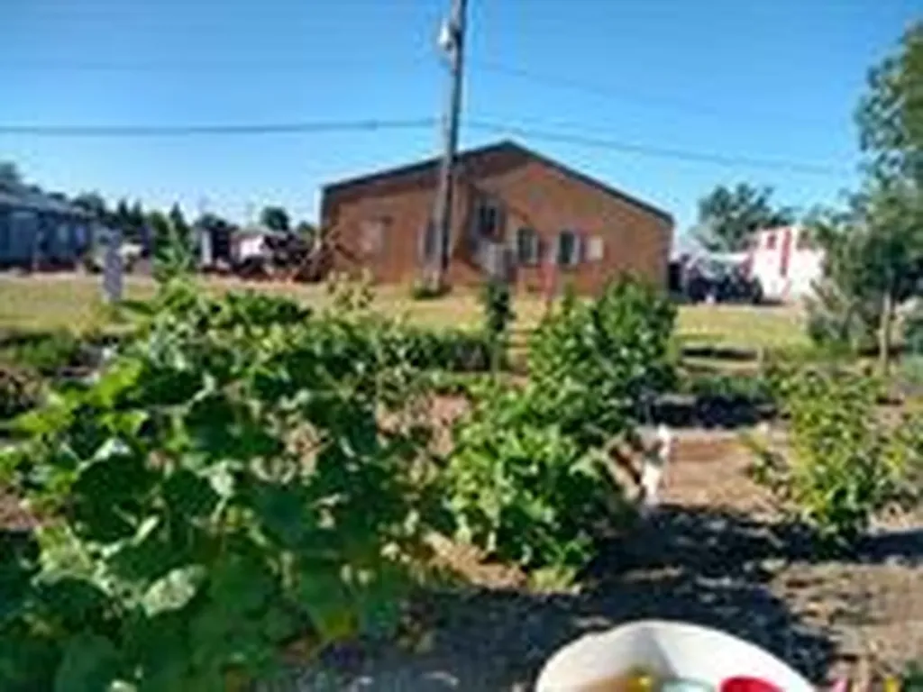 11 Central Avenue N Dutton MT 59433