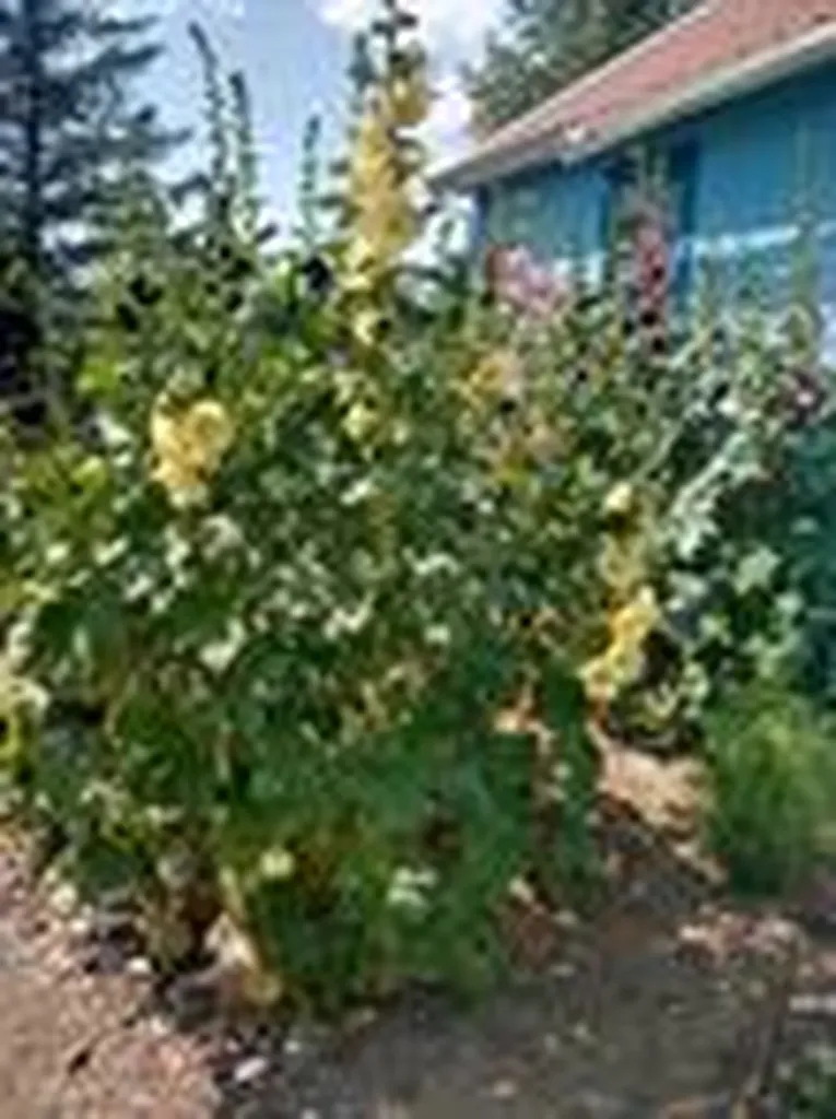 11 Central Avenue N Dutton MT 59433