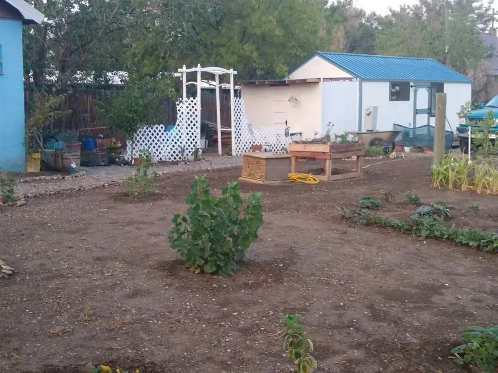 11 Central Avenue N Dutton MT 59433