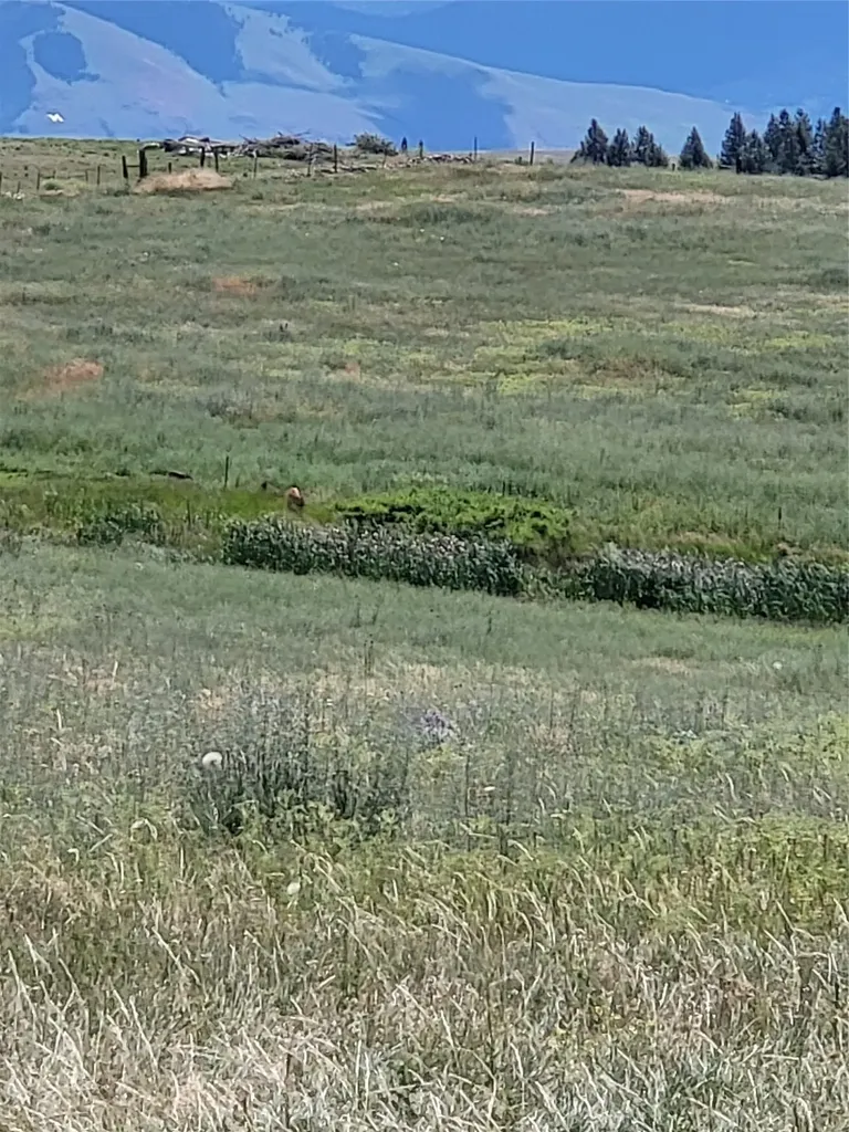 11668 Gracies View Missoula MT 59808