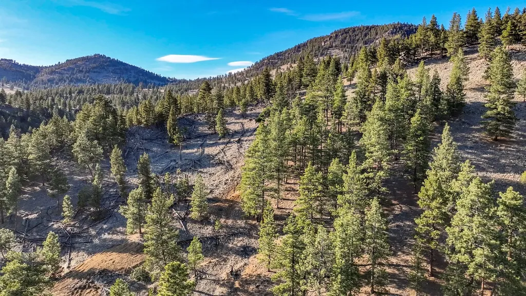 172 Clancy Creek Road Clancy MT 59634