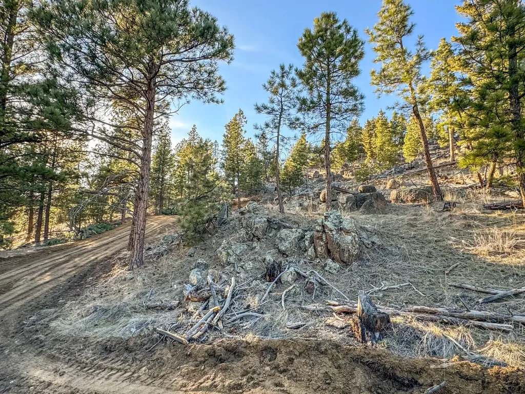172 Clancy Creek Road Clancy MT 59634
