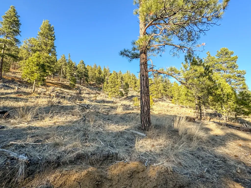 172 Clancy Creek Road Clancy MT 59634