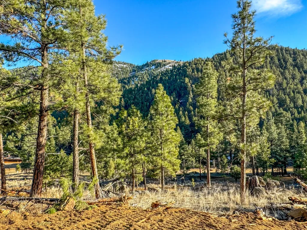 172 Clancy Creek Road Clancy MT 59634