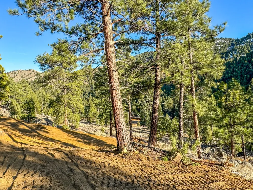 172 Clancy Creek Road Clancy MT 59634