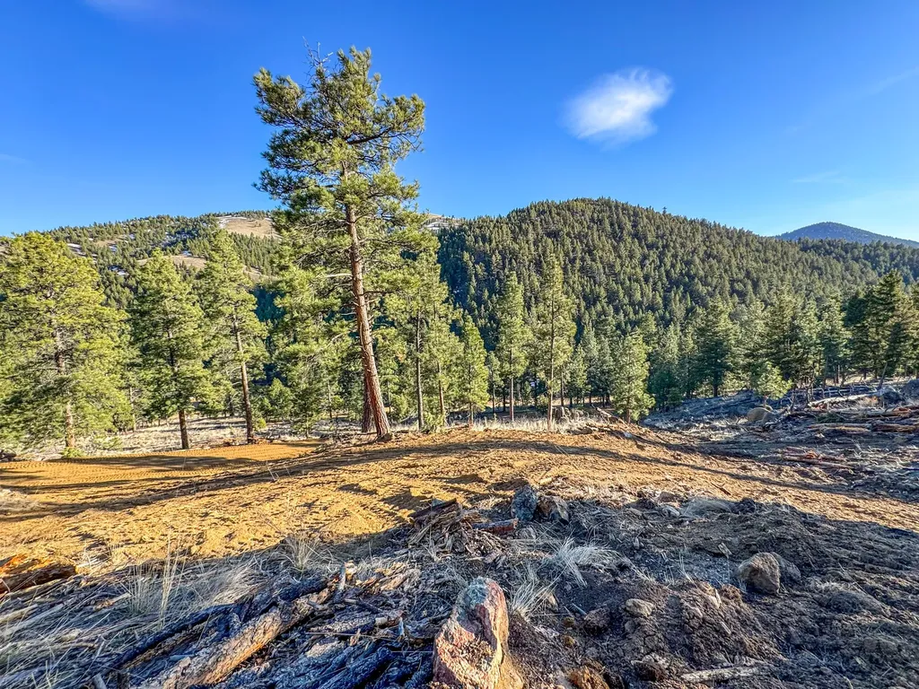 172 Clancy Creek Road Clancy MT 59634