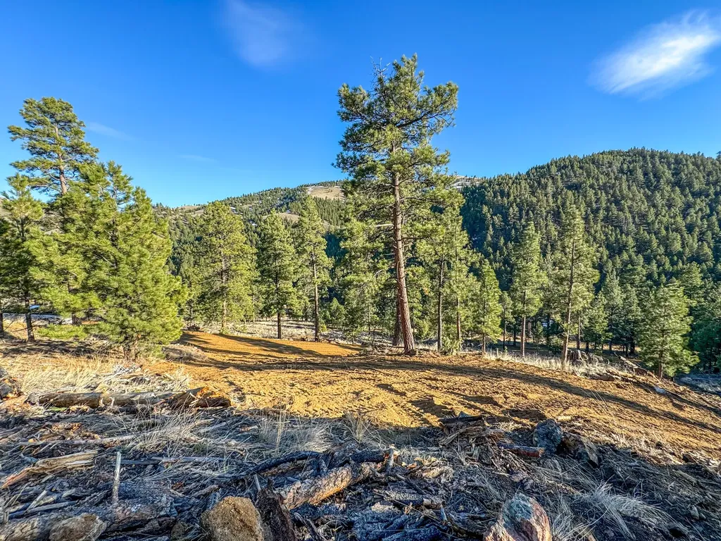 172 Clancy Creek Road Clancy MT 59634