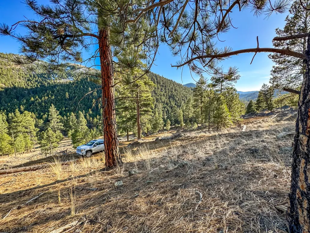 172 Clancy Creek Road Clancy MT 59634