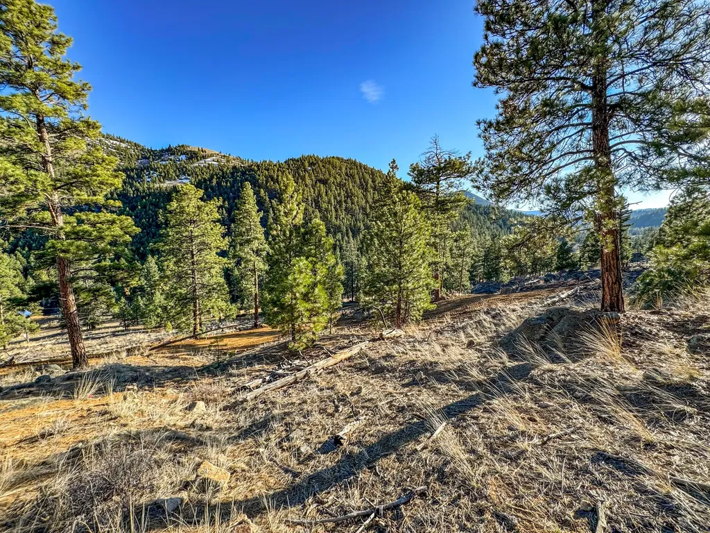 172 Clancy Creek Road Clancy MT 59634