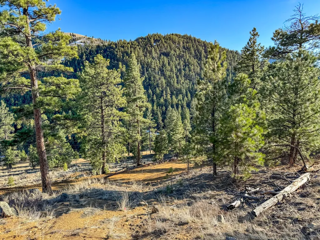 172 Clancy Creek Road Clancy MT 59634