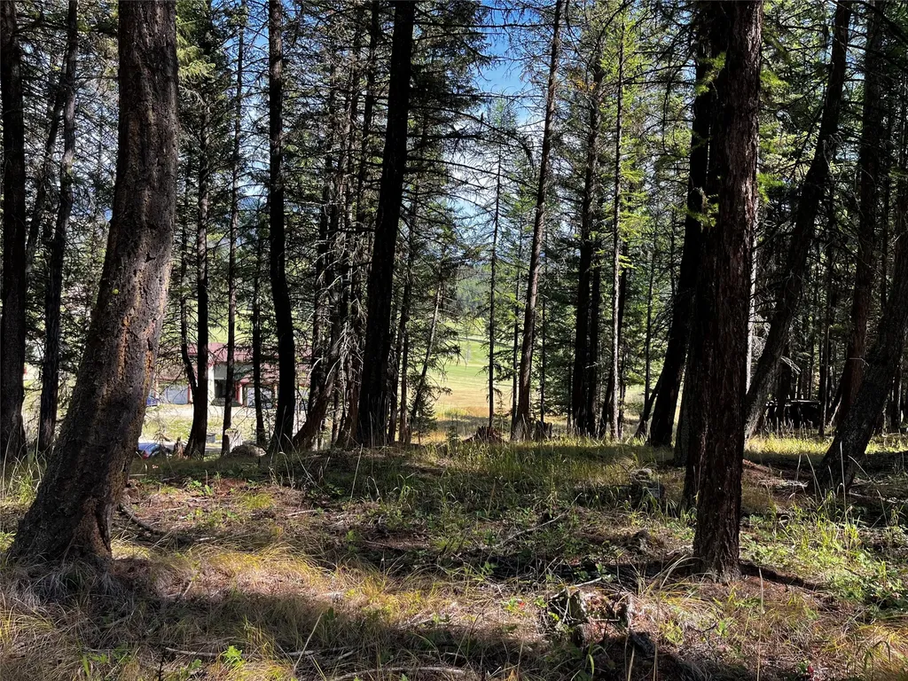 Nhn Crystal Lakes Drive Eureka MT 59917