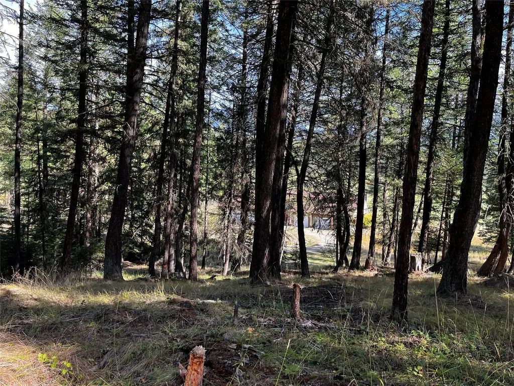 Nhn Crystal Lakes Drive Eureka MT 59917